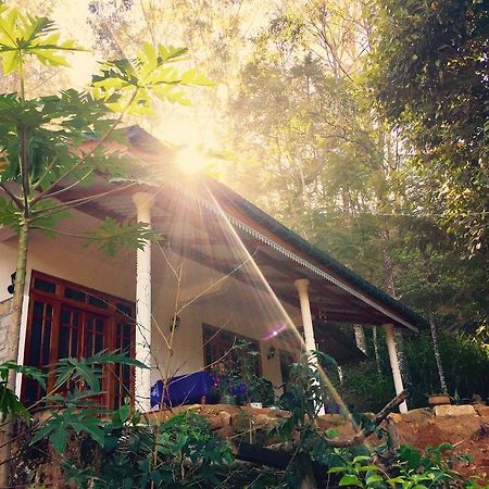Secret Nest Homestay إيلا المظهر الخارجي الصورة