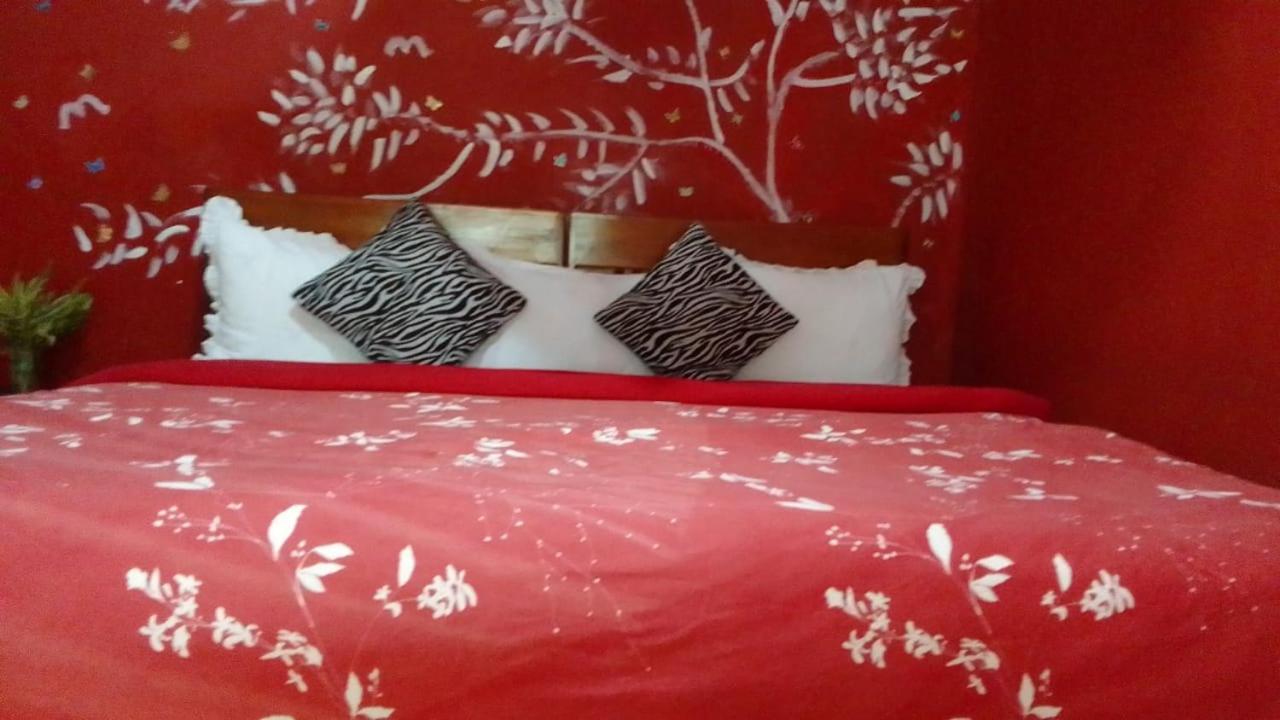Secret Nest Homestay إيلا المظهر الخارجي الصورة
