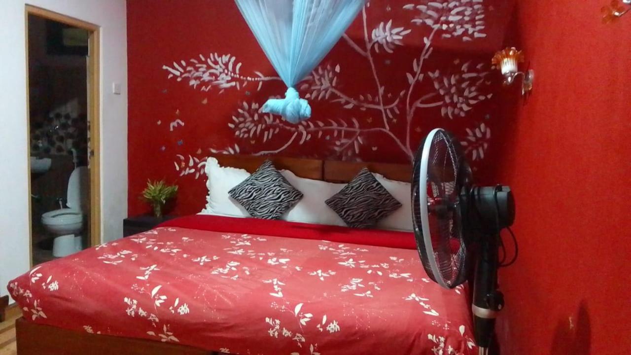 Secret Nest Homestay إيلا المظهر الخارجي الصورة