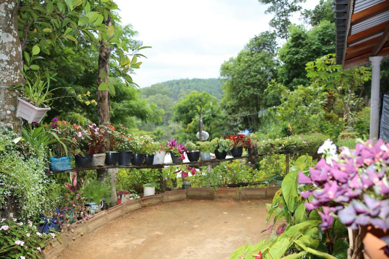 Secret Nest Homestay إيلا المظهر الخارجي الصورة