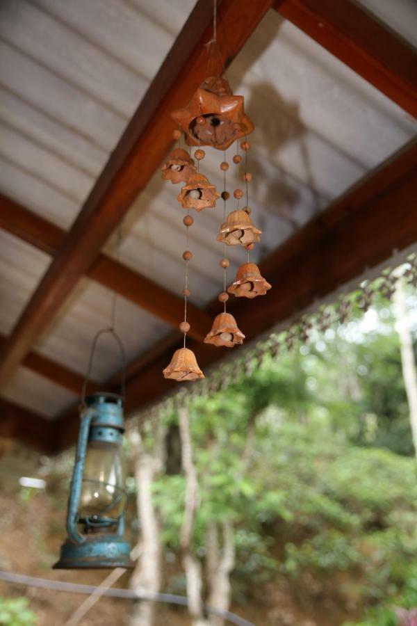 Secret Nest Homestay إيلا المظهر الخارجي الصورة