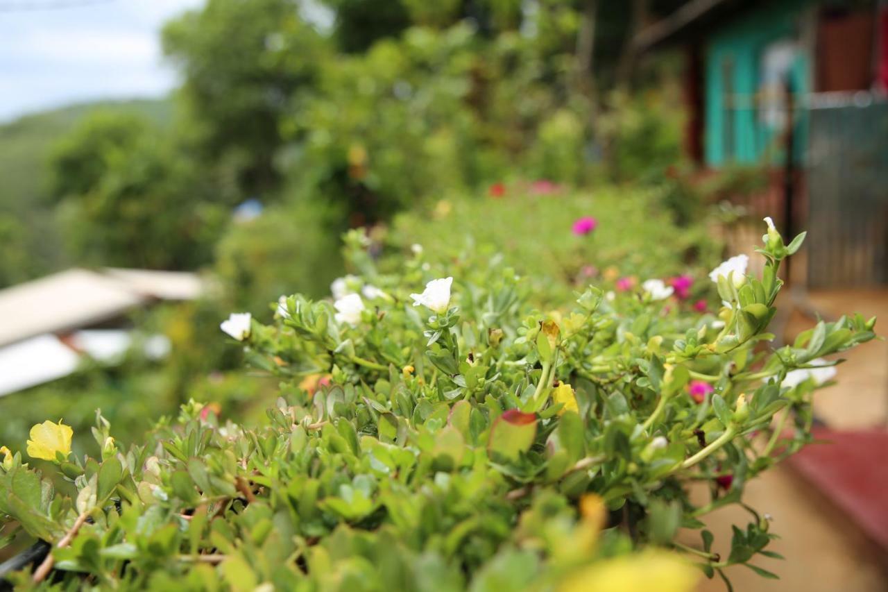 Secret Nest Homestay إيلا المظهر الخارجي الصورة
